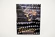 Zeshin: The Catherine and Thomas Edson Collection catalogue