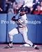 Lou Whitaker Detroit Tigers Glossy 8x10 Photo