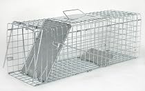 Pestbye Folding Squirrel Cage Trap