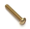 Brass Round Head Slotted Machine Screw 2-56 x 1/4