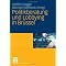EU - Lobbying Lobbyismus Br�ssel - Politische Kommunikation