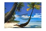 Hammock Hanging Seaside Photography Art Poster Print by Randy Faris, 36x24
