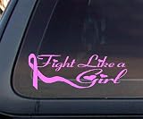 Pink Ribbon Fight Like a Girl Breast Cancer Car Decal / Sticker