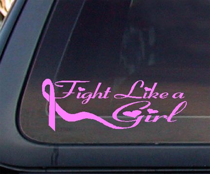 Pink Ribbon Fight Like a Girl Breast Cancer Car 