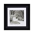 Lose Yourself in Nature Framed Art