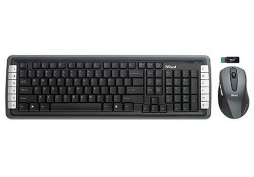 Trust Computer Wireless Laser Deskset DS-4400D DE Tastatur schnurlos 103 Tasten MS WXP D + Funkmaus Schwarz