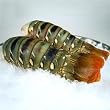 2 SPINY Lobster Tail