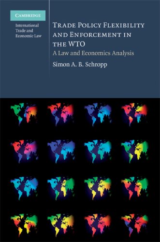 Trade Policy Flexibility and Enforcement in the WTO: A Law and Economics Analysis (Cambridge International Trade and Economic Law)