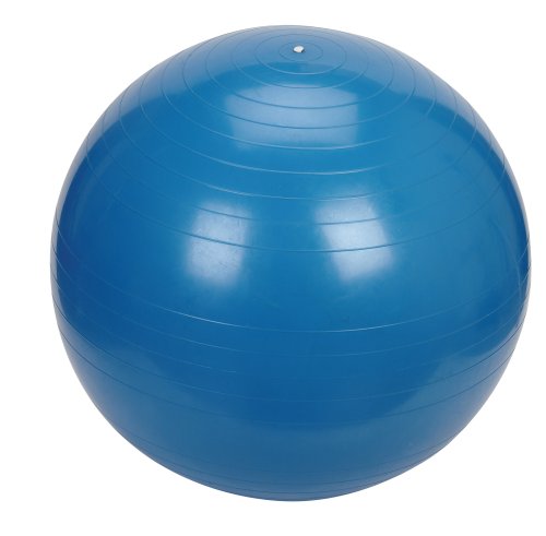 HealthPersonalCare: Sunny Health & Fitness Exercise Ball, 75 CM