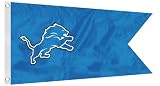 41ChrY890WL. SL160  NFL Detroit Lions Boat/Golf Cart Flag