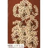【5袋入りパック】フラワー　単品◆　コデマリ
