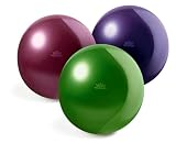Savasa for Women Eco Body Ball with Pump and SPT Workout DVD