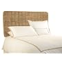 BackDrop Upholstered King Tribeca Microsuede Headboard, Taupe