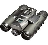 Bushnell
