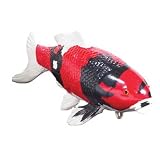 FLOATING KOI - HI SHOWA - 7