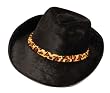 Black Velvet Fedora Hat