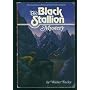 The Black Stallion Mystery