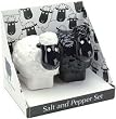 Salt & Pepper Shaker-