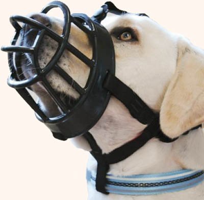 company of animals muzzle