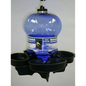 First Nature Bird Bath and Waterer by First Nature