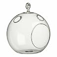 BUY : Glass Hanging Plant Terrarium Votive Holder 4 1/2" Includes a Bonus Pack of Mammoth Grey Sunflower Seeds ! By Hinterland Trading