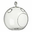Glass Hanging Plant Terrarium Votive Holder 4 1 2 Includes a Bonus Pack of Mammoth Grey Sunflower Seeds ! By Hinterland Trading