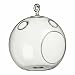 Glass Hanging Plant Terrarium Votive Holder 4 1/2