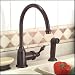 Premier Oil Rubbed Bronze Single Handle Kitchen Faucet with Side Spray