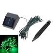 35ft Waterproof 60 LED Solar Fairy Lights (Green) Garden Xmas Party