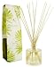 The Thymes Frasier Fir Reed Diffuser Set