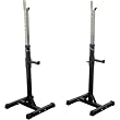 Valor Athletics Inc. BD - 3 Squat Stands