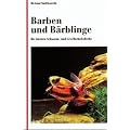 Barben und B�rblinge: Die idealen Schwarm- und Gesellschaftsfische