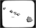 Decorated Mouse Pad with map, islands, Hawaii, outline, state, polynesian