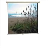 60 x 60 Manual Screen in Matte White