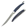 Buck Filiermesser Silver Creek, 420J2 Stahl mit Titanbeschichtung, Polypropylen