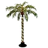 IMAGE OF 6' Pre-Lit Color Changing Novelty Bubble Parm Tree - Clear Lights