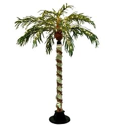 6' Pre-Lit Color Changing Novelty Bubble Palm Tree - Clear Lights