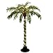 6' Pre-Lit Color Changing Novelty Bubble Palm Tree - Clear Lights