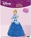Cinderella Dreamland Centerpiece