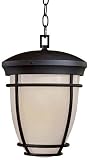 Iconic 14 1/2 High Fluorescent Outdoor Hanging Light