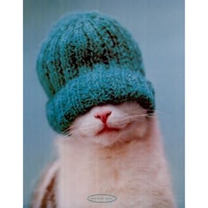 Guiness Cat Framed Poster snow hat funny kitten cute RARE NEW 16