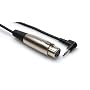 Hosa XVS102F Right Angle 3.5mm M to XLR F 2 Foot
