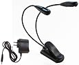 2 Headed Clip-on Light for your Kindle DX with 4 Pack AAA Batteries included and AC Adapter