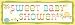 Creative Converting Happi Tree Sweet Baby Giant Party Banner