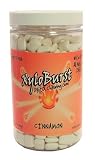 Xyloburst Cinnamon Xylitol Chewing Gum 500 Count