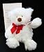 Hallmark Exclusive White Valentine's Bear L'il Beary Huggable