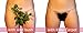 Fashion First Aid Women's Kitty Carpet Reusable Downstairs Toupee