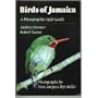 Birds of Jamaica: A Photographic Field Guide