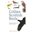 Collins Scottish Birds by  Valerie Thom