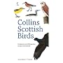 Collins Scottish Birds